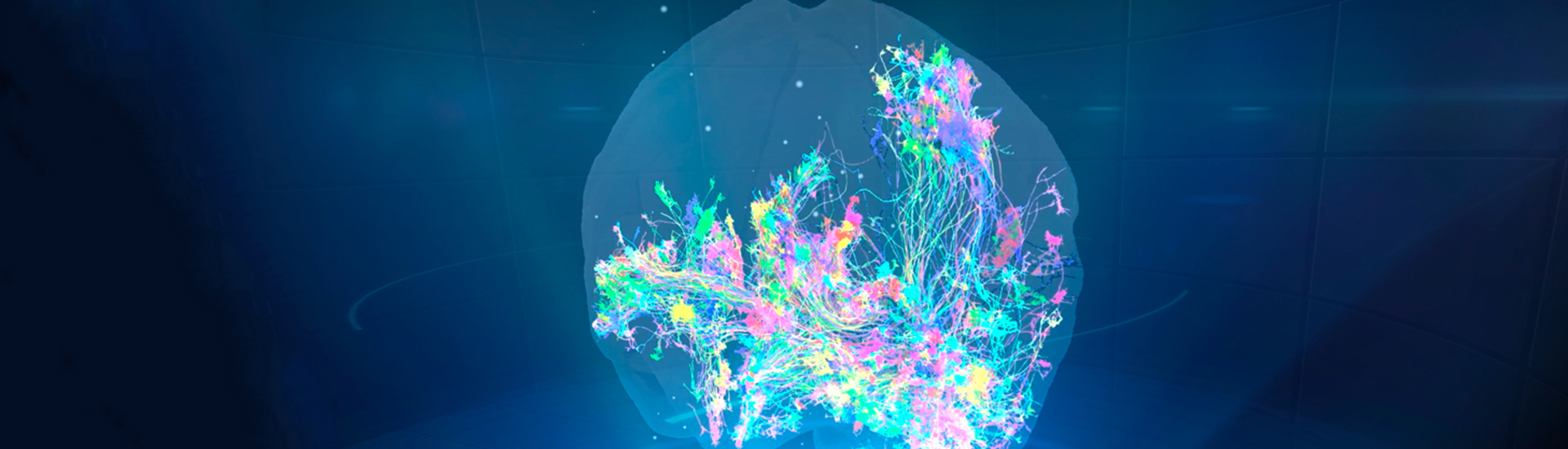 中國科學(xué)家聯(lián)合發(fā)布介觀腦圖譜系列成果實(shí)現(xiàn)從嚙齒類到靈長(zhǎng)類大腦的跨越